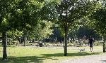 0000108 - Waterford City.The People’s Park
