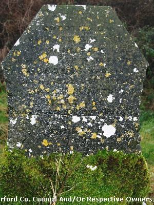 Hackettstown Graveyard, An Sean Phobal, Co. Waterford. Troy family. 